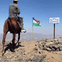 Flag Al GIF