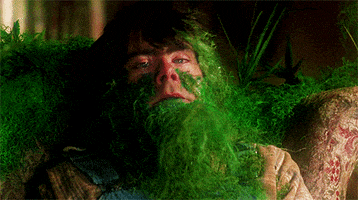 Stephen King Creepshow GIF by Filmin