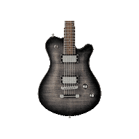 theguitarmaster guitar germany netherlands electric guitar Sticker
