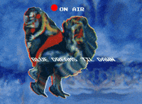 Good Night Love GIF by Xinanimodelacra