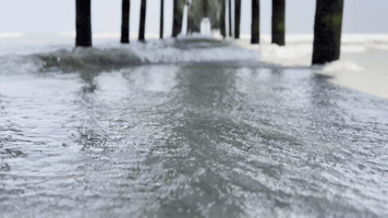 Beach Ocean GIF by Mstokie50