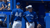 Blue Jays Mlb GIF by Toronto Blue Jays