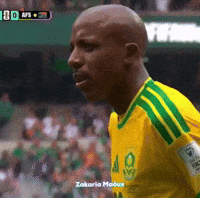 South Africa Football GIF