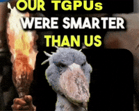 Shoebill Stork GIF