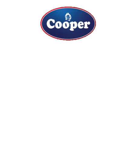 CooperTiresAUS giphyupload sale promo coin Sticker