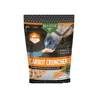 Horse Treats Sticker by BUCKEYE Nutrition