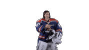 Ducs Dangers Hockey Sticker by Les Ducs d'Angers