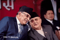 Shere GIF