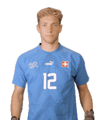 Switzerland Suisse Sticker by Swiss Football Association