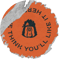 NomadBlvd nomad blvd nomadblvd nomad blvd Sticker