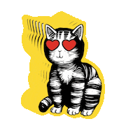 DCRT cat dcrt decart декарт Sticker
