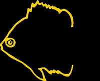 mundoacuariofilo aea-argos GIF