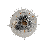 Health Biology Sticker by NOVOS