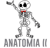 institutobiomed medicina institutobiomed instituto biomed Sticker
