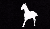 White Poney GIF