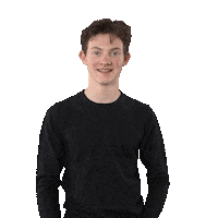 Disney Themepark Sticker