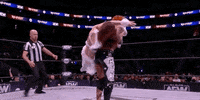All Elite Wrestling GIF by AEWonTV