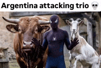 Vamos Argentina Lautaro Martinez GIF