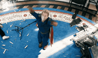 Sad Fly GIF
