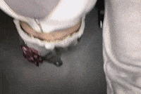 Me You Momo GIF