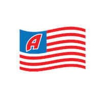 american flag Sticker by Katie