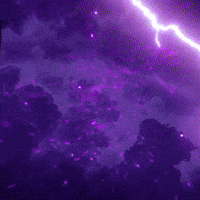 Ipl Kkr GIF by Knight Riders Sports