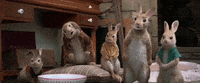 peter rabbit GIF