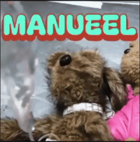 Perros Pache GIF by LIBERUM
