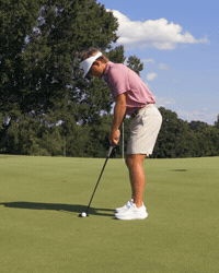 Elon Mens Golf GIF by Elon Phoenix