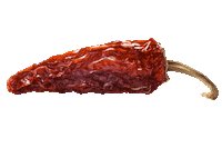 Chile Sandwich Sticker by Papas Sabritas