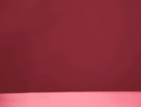 dog puppy GIF by Tuna the Pom