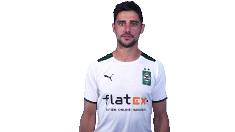 Lars Stindl Bundesliga Sticker by Borussia Mönchengladbach