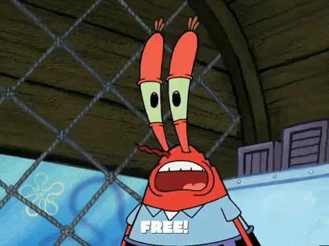 season 5 to love a patty GIF by SpongeBob SquarePants