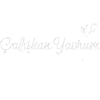 Mnks Okul Sticker