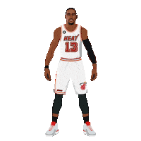 Nba Playoffs Basketball Sticker by Panini America