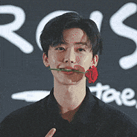 Nct Dream GIF