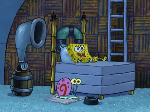 season 5 GIF by SpongeBob SquarePants