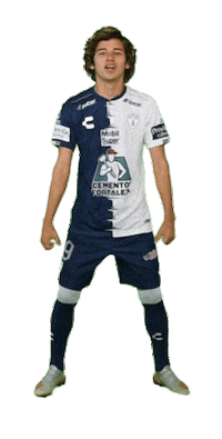 Liga Mx Mexico Sticker by Club Pachuca Tuzos