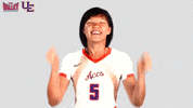 The Valley Mvc GIF by Missouri Valley Conference