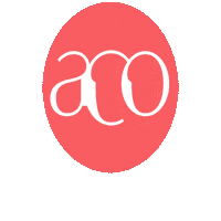 Violin Jumping Sticker by Australian Chamber Orchestra