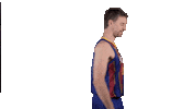 Fc Barcelona Basketball Sticker by ACB