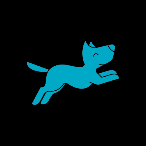 Snufi giphygifmaker dog happy dog jumping dog GIF