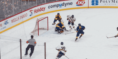 State Championship Goal GIF by Hockeyland