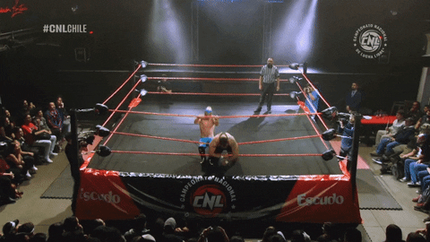 Fight Wrestling GIF by CNL Chile