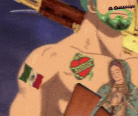 One Piece Zo GIF