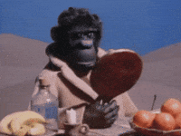 BertilEnstoring apa ture skrotnisse ture björkman GIF