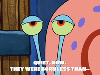 season 6 pet or pets GIF by SpongeBob SquarePants