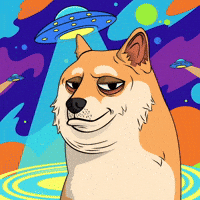 Shiba Inu Space GIF by Doge Pound