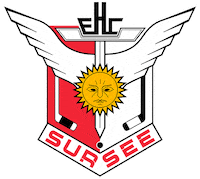 EHCSURSEE hockey icehockey sursee ehc sursee Sticker