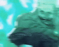 Jackpot GIF